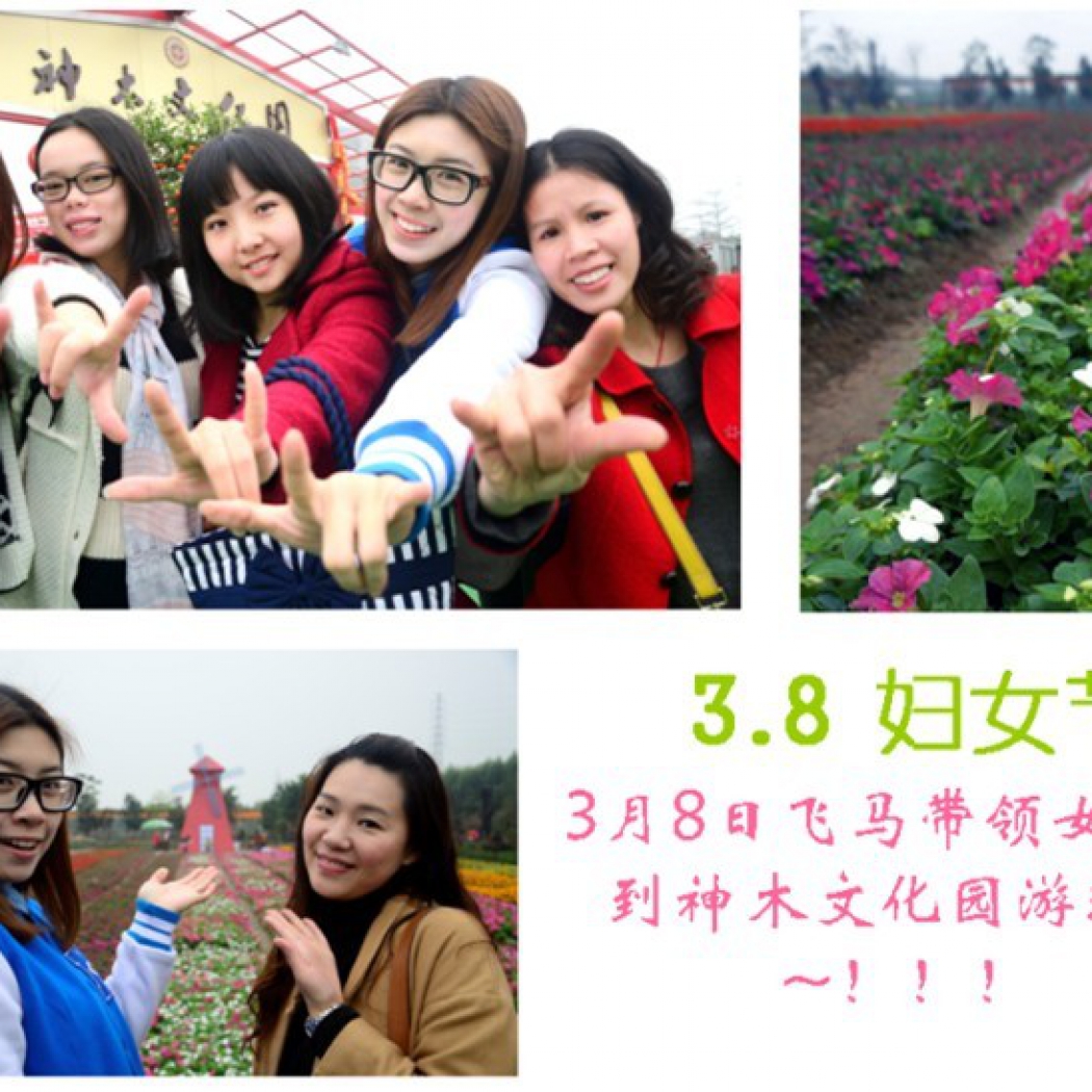 3.8 婦女節(jié)
